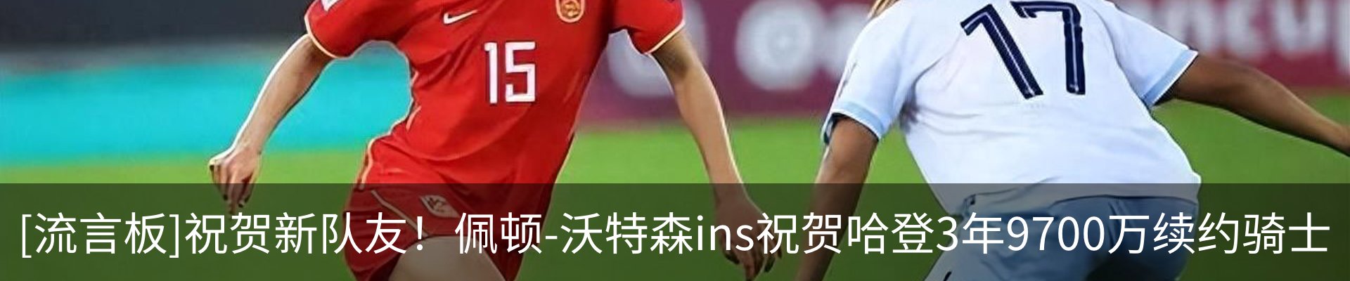 新闻动态